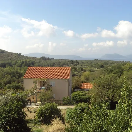 Jelic Banići