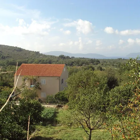 Jelic Banići