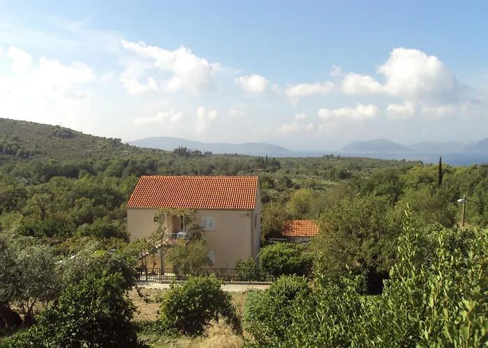 Jelic Banići