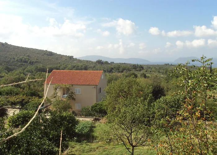 Jelic Banići